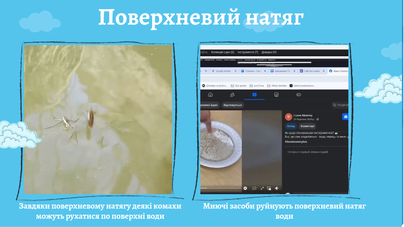 Презентація Географія 5 клас - зображення Skoln