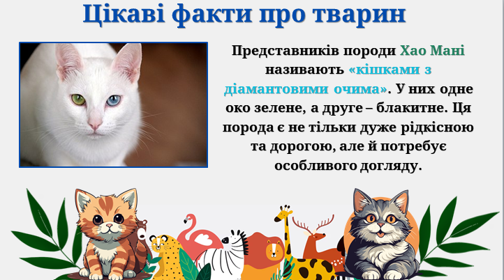 Презентація Виховна робота Молодші класи - зображення Skoln