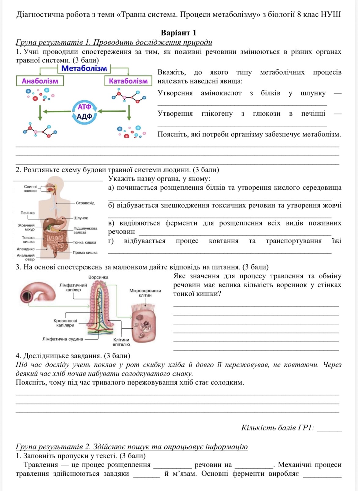 Контрольна робота Біологія 8 клас - зображення Skoln