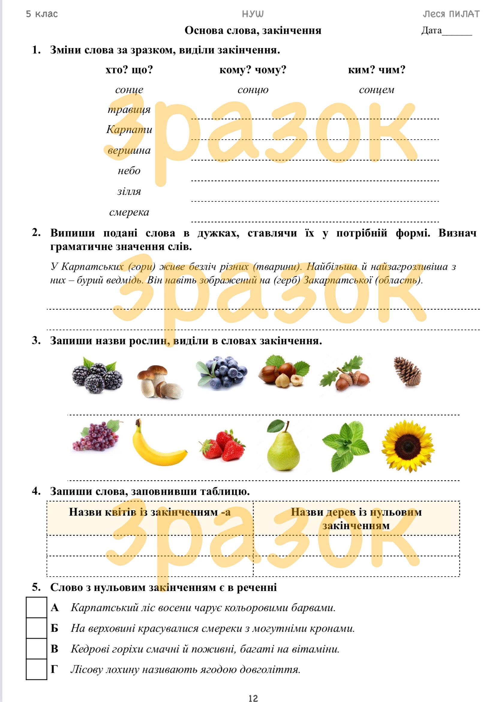 Матеріали до уроку Українська мова 5 клас - зображення Skoln