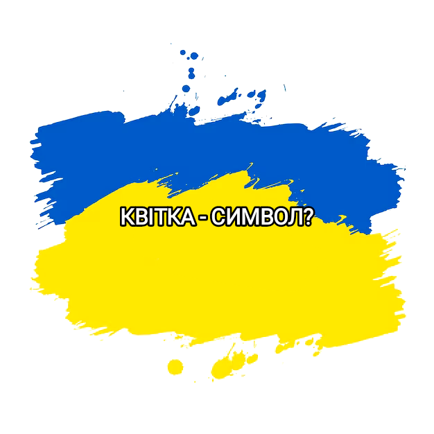 Методичні матеріали Громадянська освіта Всі класи - зображення Skoln