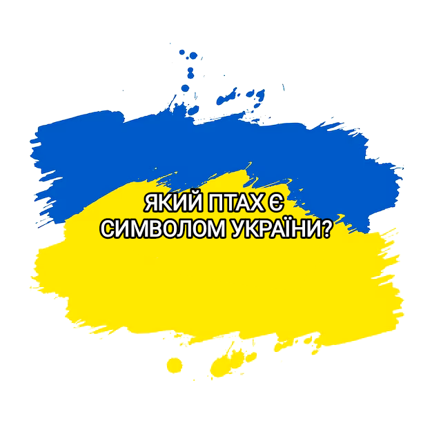 Методичні матеріали Громадянська освіта Всі класи - зображення Skoln
