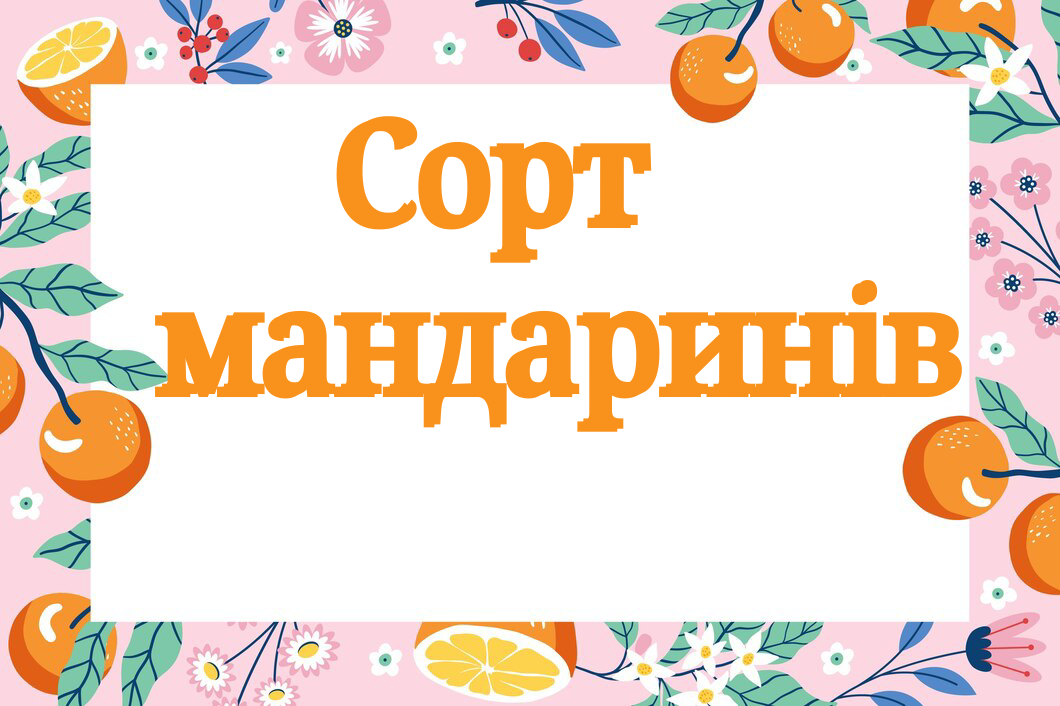 Методичні матеріали Виховна робота Старші класи - зображення Skoln