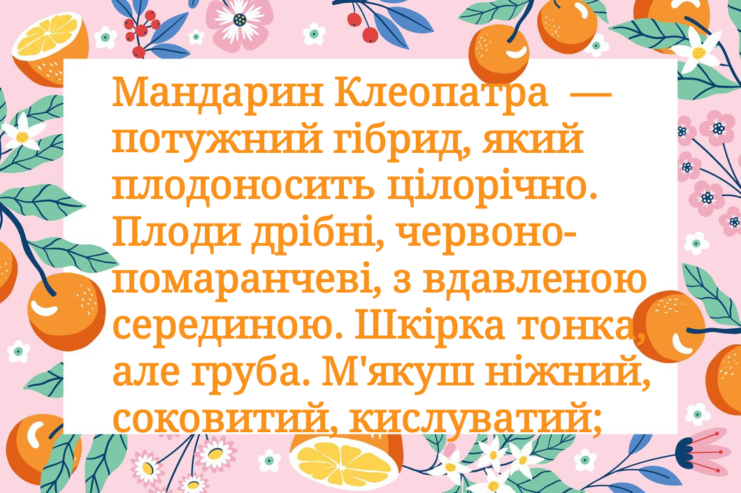 Методичні матеріали Виховна робота Старші класи - зображення Skoln
