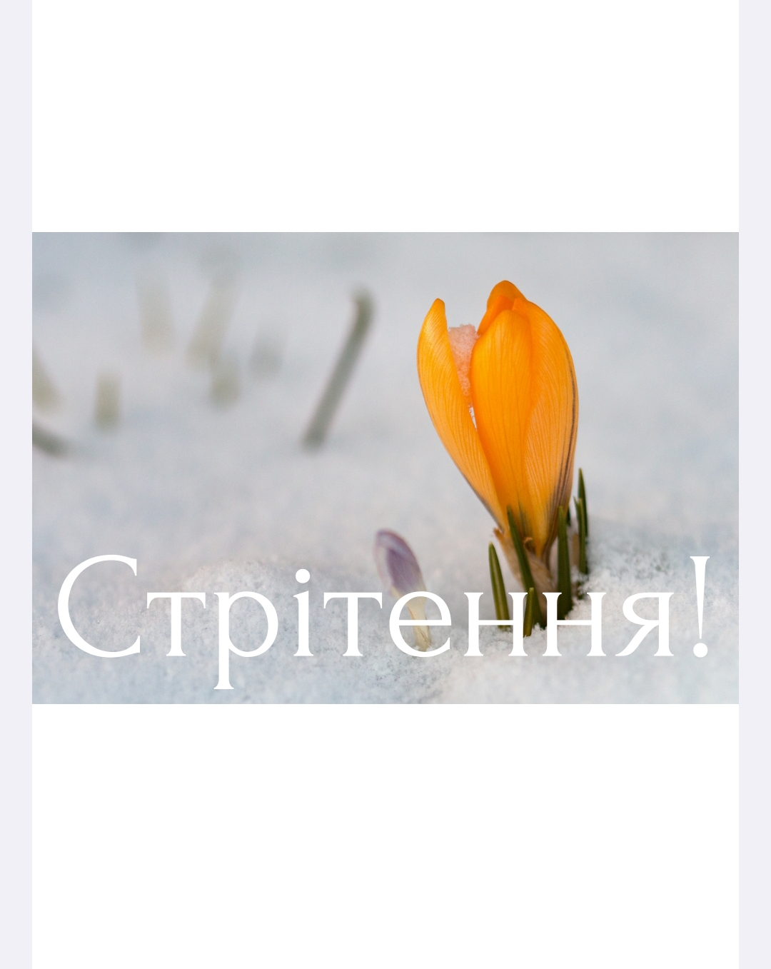 Ілюстрації Я досліджую світ Всі класи - зображення Skoln