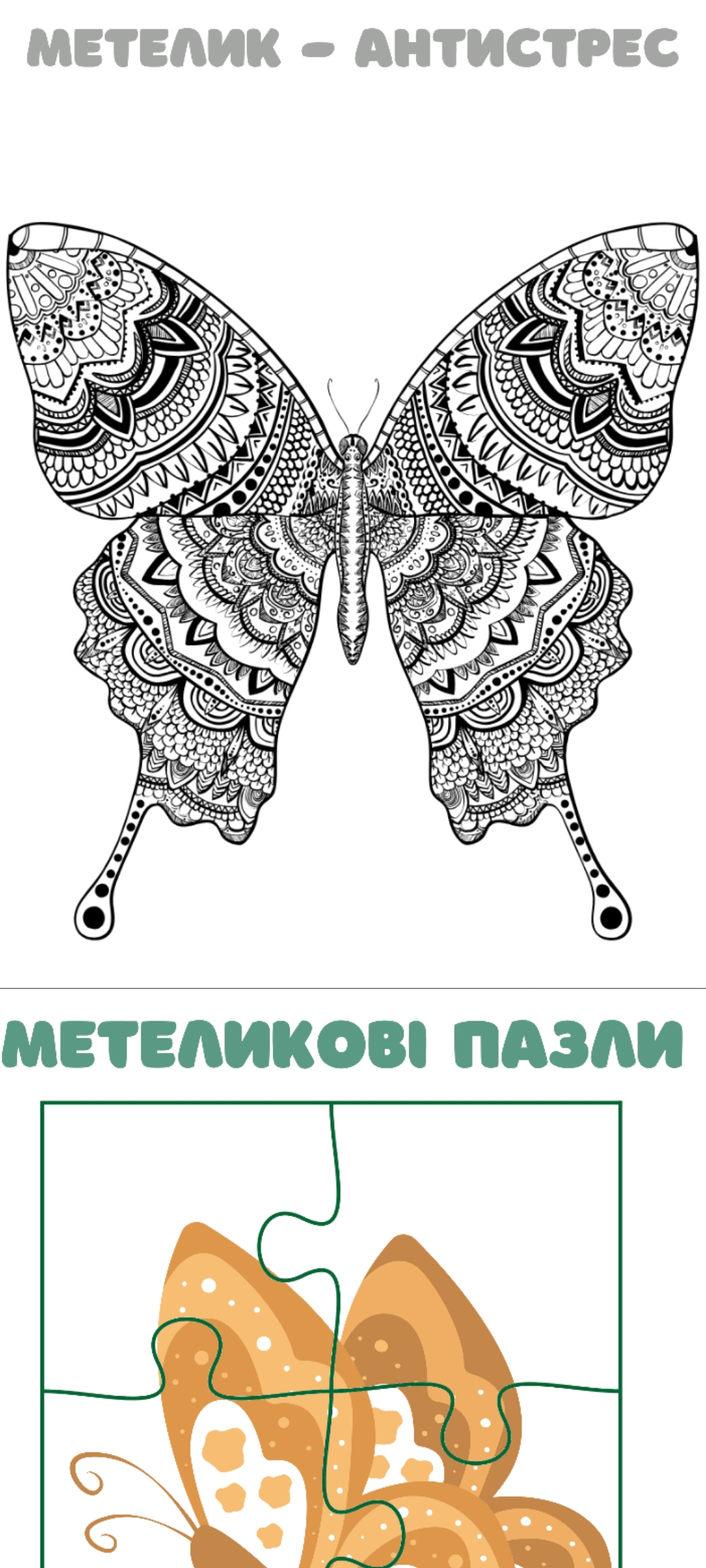 Комплект Біологія Молодші класи - зображення Skoln