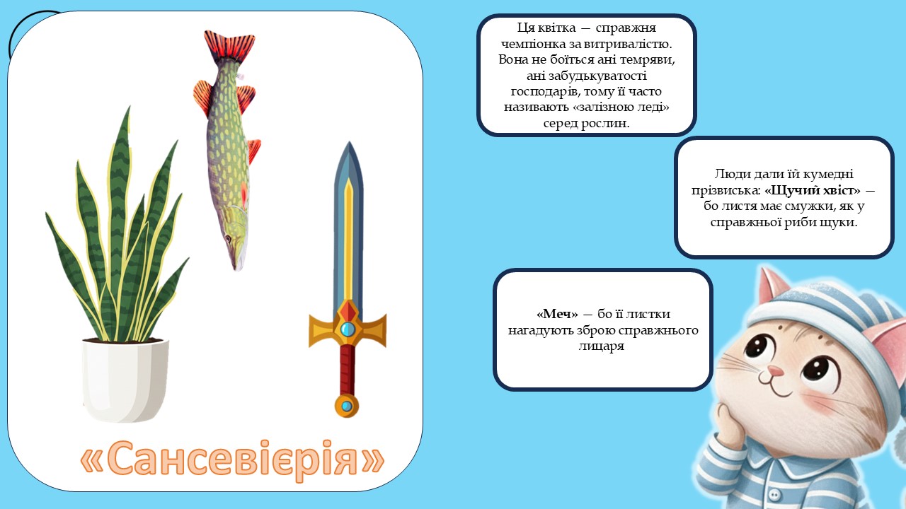 Презентація Я досліджую світ Дошкілля - зображення Skoln