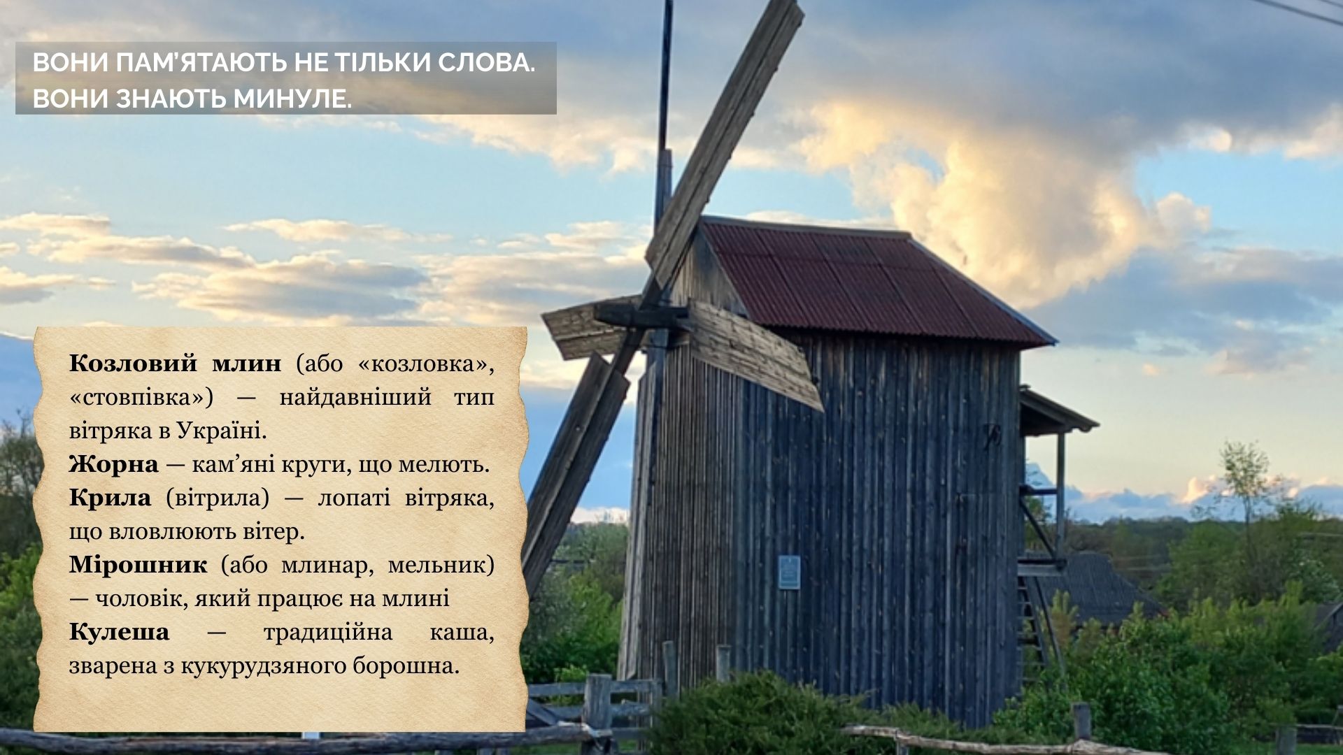 Презентація Українська мова Старші класи - зображення Skoln