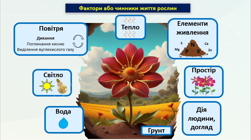 Презентація Міжгалузевий інтегрований курс STEM 6 клас - зображення Skoln