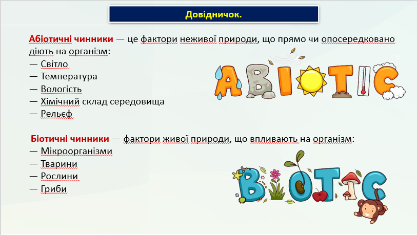 Презентація Міжгалузевий інтегрований курс STEM 6 клас - зображення Skoln