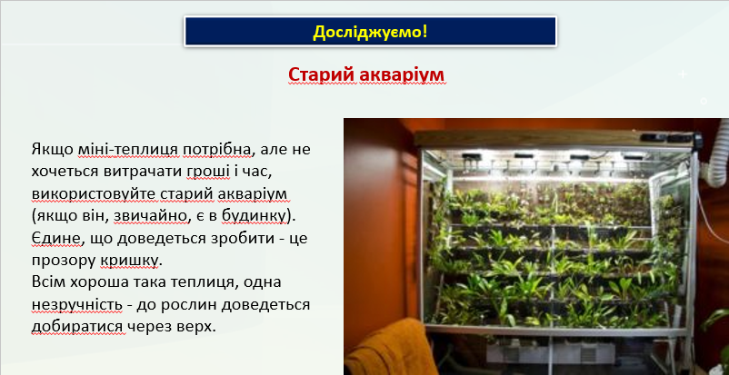 Презентація Міжгалузевий інтегрований курс STEM 6 клас - зображення Skoln