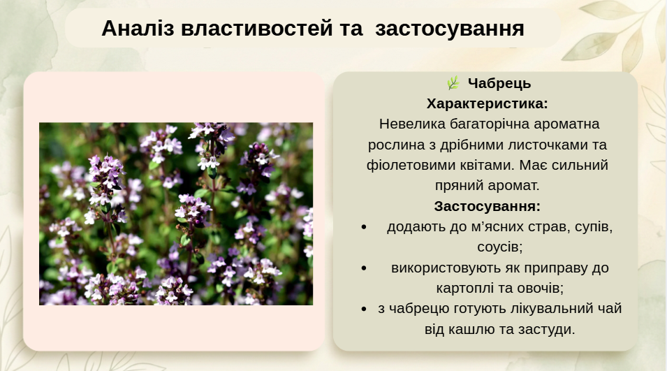 Презентація Технології 8 клас - зображення Skoln