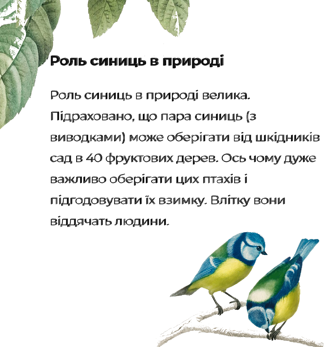 Комплект Біологія Всі класи - зображення Skoln