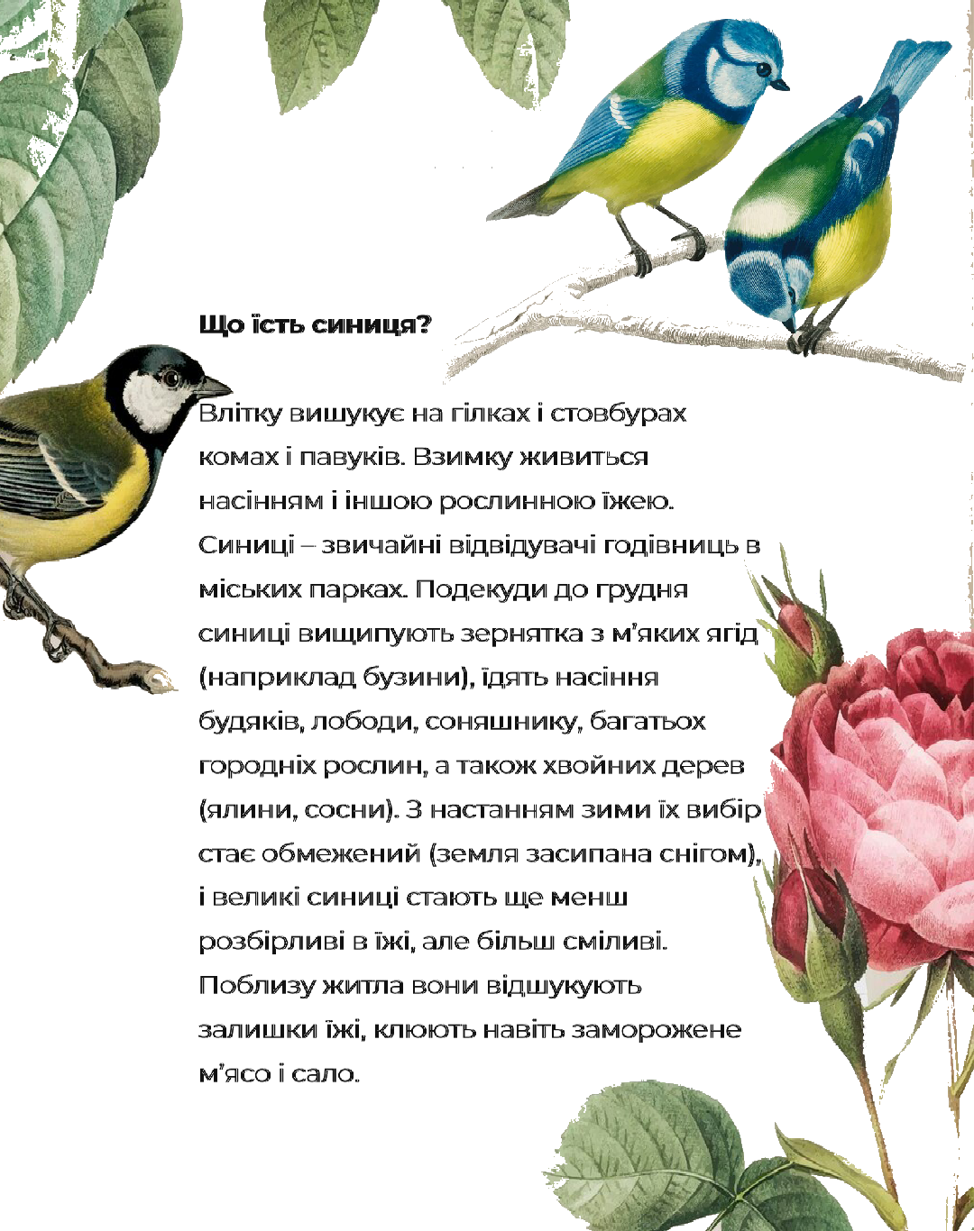 Комплект Біологія Всі класи - зображення Skoln