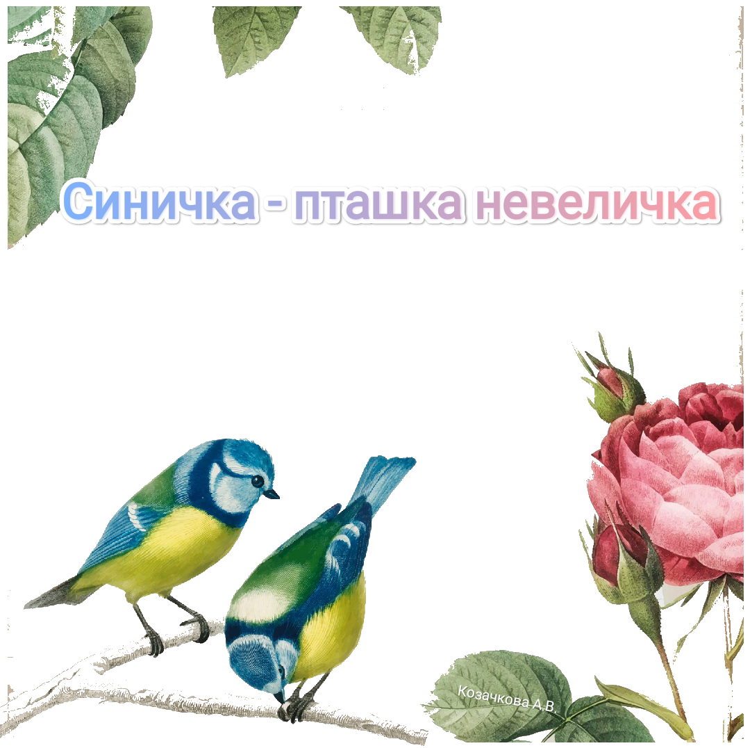 Комплект Біологія Всі класи - зображення Skoln