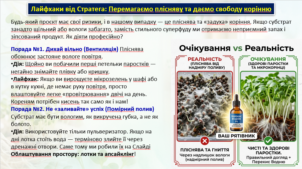 Презентація Технології 8 клас - зображення Skoln