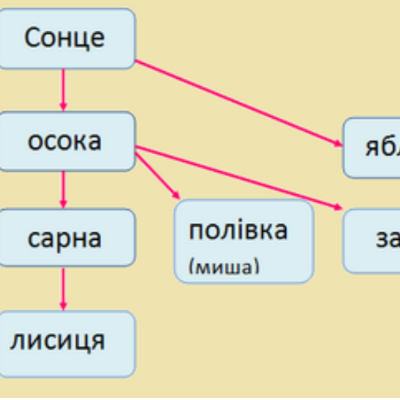 Контрольна робота Я досліджую світ 2 клас - зображення Skoln