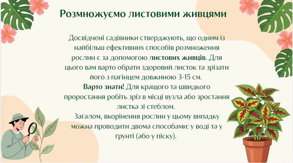 Презентація Технології 5 клас, 6 клас - зображення Skoln