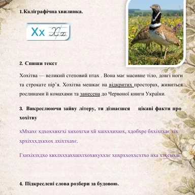 Матеріали до уроку Українська мова 3 клас, 4 клас - зображення Skoln