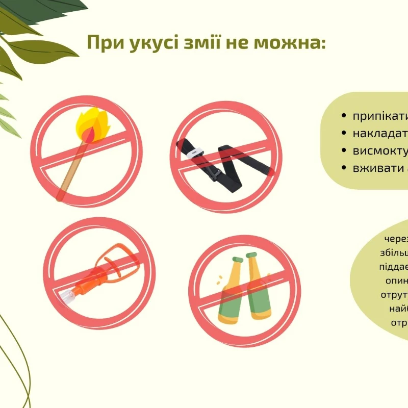 Презентація Захист України 11 клас, Старші класи - зображення Skoln