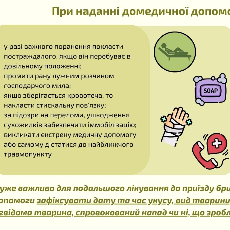 Презентація Захист України 11 клас, Старші класи - зображення Skoln