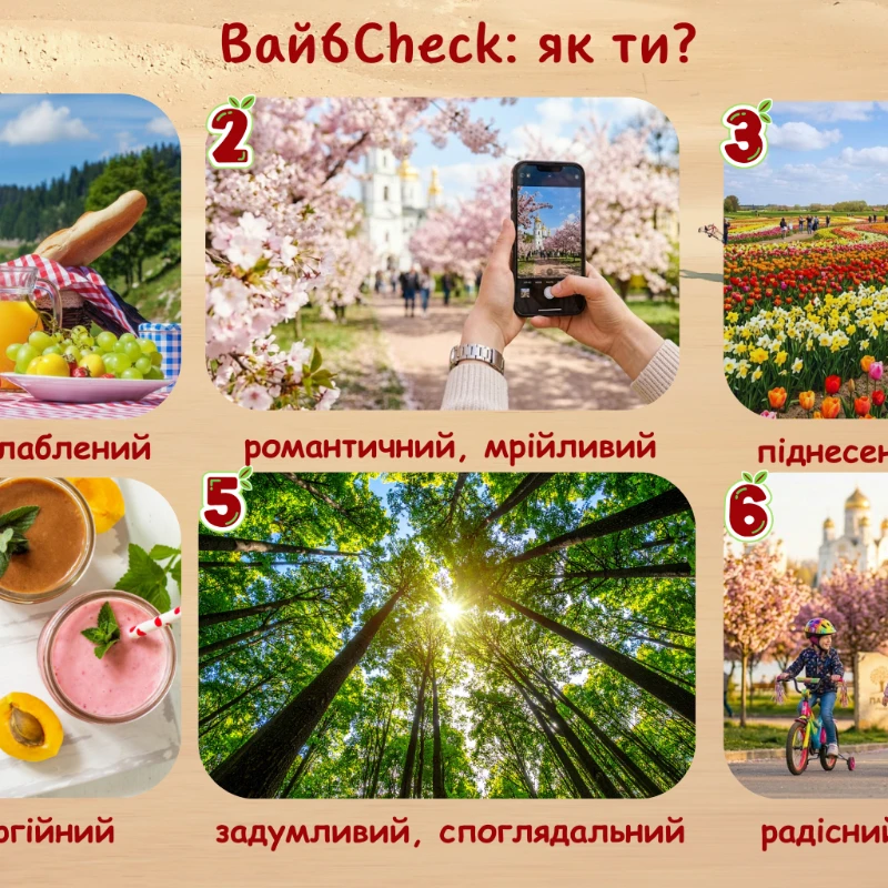 Матеріали до уроку Українська мова Всі класи - зображення Skoln