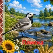 Комплект  1 клас, 2 клас, 3 клас, Всі класи, Дошкілля - зображення Skoln