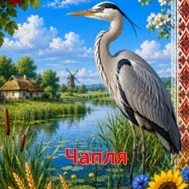 Комплект  1 клас, 2 клас, 3 клас, Всі класи, Дошкілля - зображення Skoln