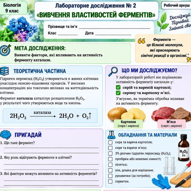 Робочий аркуш Біологія 9 клас - зображення Skoln